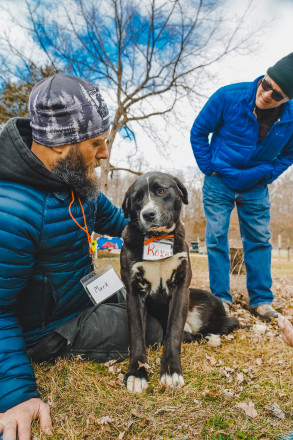 Roxy the Barn Farm Dog - Photo Credit Lyric Kochendorfer