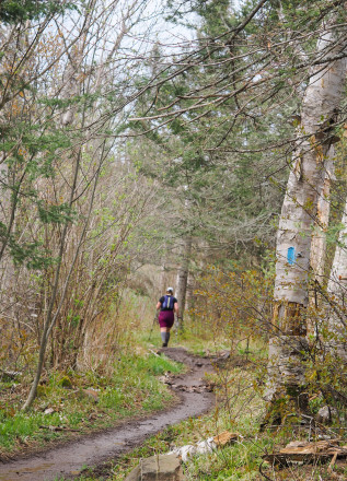 SHT - Photo Credit Kevin Langton