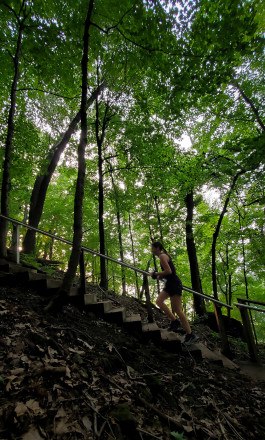 Spring Lake Stairs - Photo Credit John Storkamp