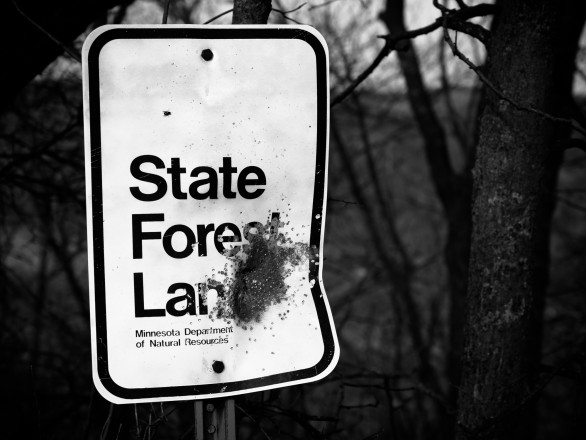 State Forest Land It Is - Photo Credit Zach Pierce
