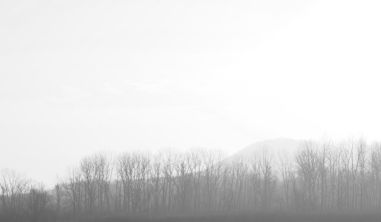 Subtle Beauty of Zumbro - Photo Credit Kevin Langton