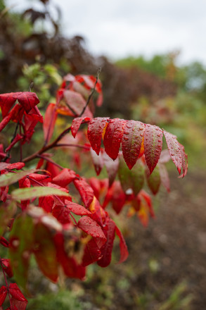 Subtle Changes at SFTR 2025 - Photo Credit Anastasia Wilde