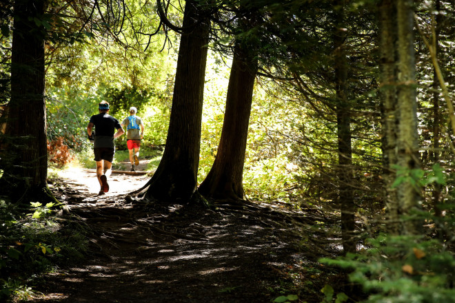 The Cedars - Photo Credit Ian Corless