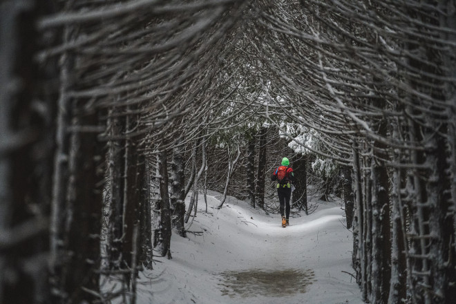 The Hobbit Wodds Blanketed in Snow - Photo Credit Fresh Tracks Media