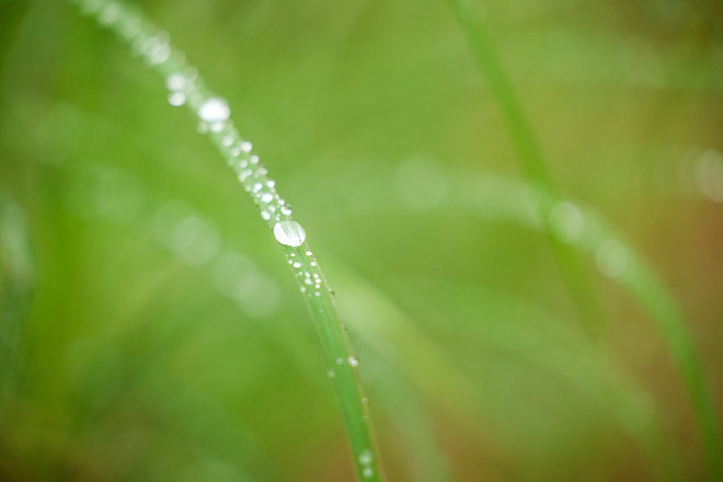 The Little Things at Afton - Photo Credit Scott Rokis