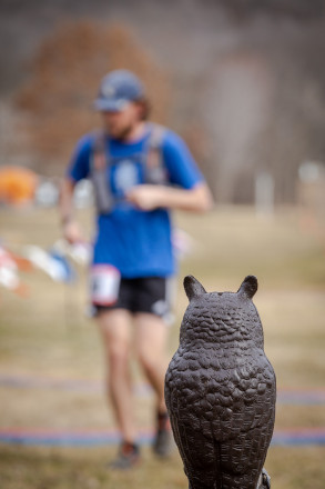 The Owl Awaits - Photo Credit Mike Wheeler