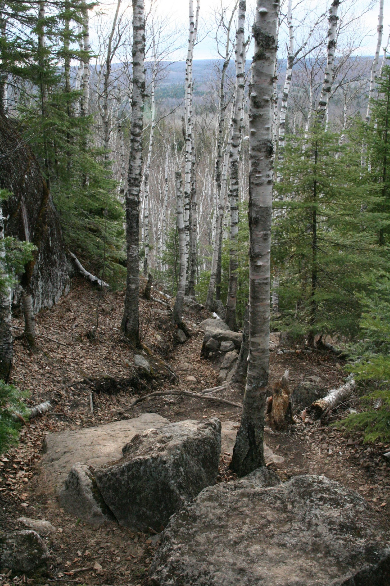 The Rugged Superior Hiking Trail - Photo Charlie Hubbard