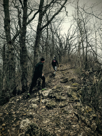 The Woods Are Lovely Dark and Deep - Photo Credit John Storkamp