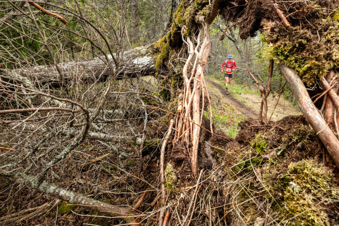 Tip Up - Photo Credit Scott Rokis