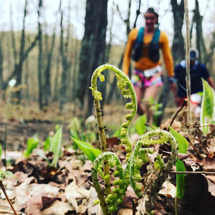 Unfurling - Photo Credit Erik Lindstrom