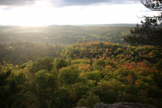 Views from Sawmill Dome - Photo Credit Cary Johnson