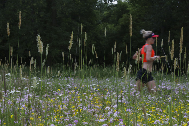 Wild Among the Wildflowers - Photo Credit Chad Richardson