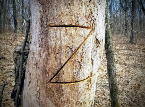 Wold Z - Photo Credit John Storkamp