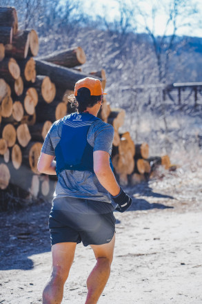 Working Forest - Photo Credit Lyric Kochendorfer