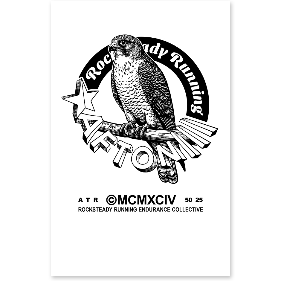Peregrine Falcon Poster